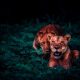 Lions