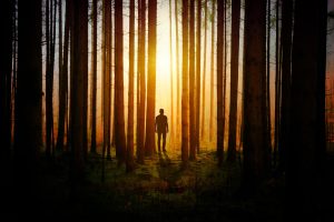 Stepping into the light