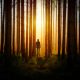 Stepping into the light