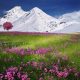 Mountain spring flowers and snow