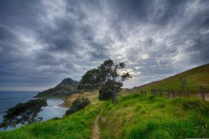 path by the sea